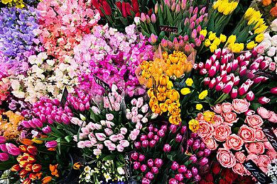 《空洞骑士》玩家数突然暴增 打破自身在线人数纪录